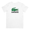 Camisa Lacoste Big Croc