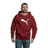 Blusa Moletom Puma Com Capuz Premium