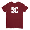 Camisa DC Shoes Big Logo