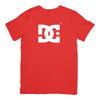 Camisa DC Shoes Big Logo