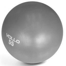 Gym Ball c/Bomba (55cm) - Cor: Cinza